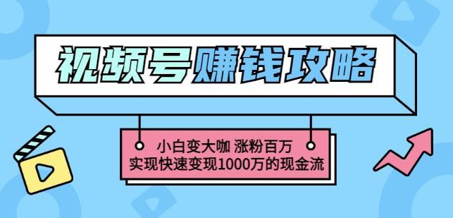 玩转微信视频号赚钱：小白变大咖涨粉百万实现快速变现1000万的现金流-逐浪前行