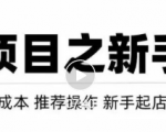 虚拟项目快速起店模式，0成本打造月入几万虚拟店铺！-逐浪前行