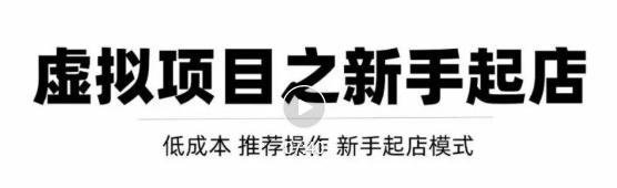 虚拟项目快速起店模式，0成本打造月入几万虚拟店铺！-逐浪前行