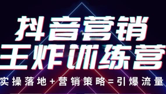 抖音营销王炸训练营，实操落地+营销策略=引爆流量（价值8960元）-逐浪前行