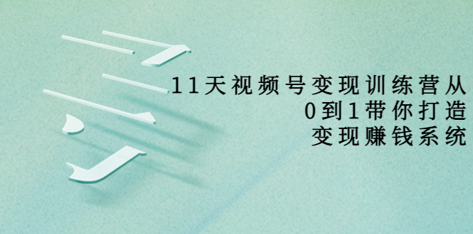 11天视频号变现训练营，从0到1打造变现赚钱系统（价值398元）-逐浪前行