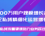 8000万用户规模增长方法论私域精细化运营增长，私域流量硬课助力业务跃迁-逐浪前行