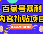 百家号暴利内容补贴项目，图文10元一条，视频30一条，新手小白日赚300+-逐浪前行
