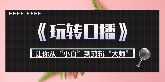 月营业额700万+大佬教您《玩转口播》让你从“小白”到剪辑“大师”-逐浪前行