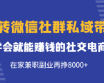 玩转微信社群私域带货，学会就能赚钱的社交电商，在家兼职副业再挣8000+-逐浪前行