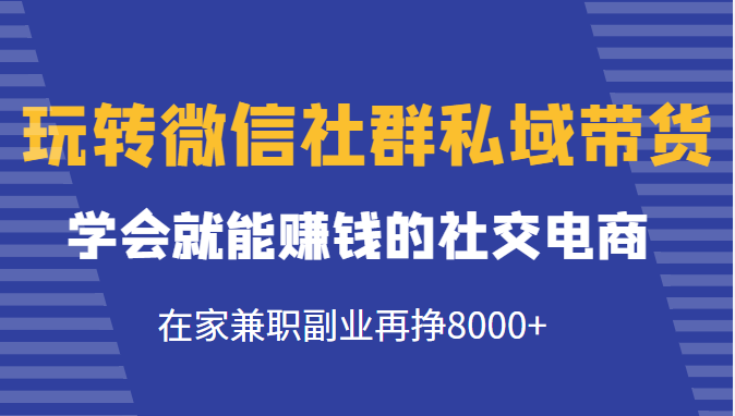 玩转微信社群私域带货，学会就能赚钱的社交电商，在家兼职副业再挣8000+-逐浪前行