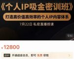个人IP吸金密训班,打造高价值高效率的个人IP内容体系(价值12800元)-逐浪前行