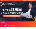 0粉0作品自然流正价起号及稳号全教程,专业自然流起号机构流程化教学(价值2980元)-逐浪前行