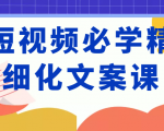 短视频必学精细化文案课,提升你的内容创作能力、升级迭代能力和变现力(价值333元)-逐浪前行
