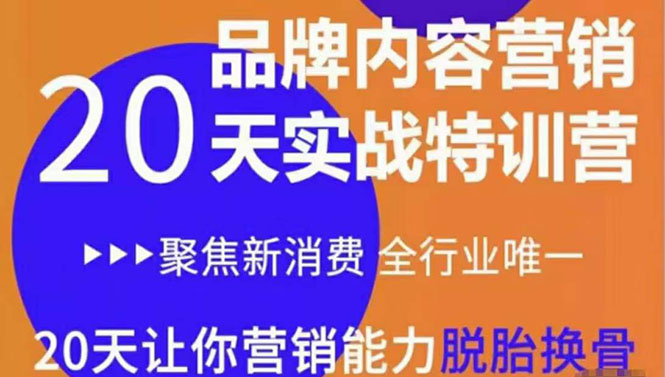 《内容营销实操特训营》20天让你营销能力脱胎换骨（价值3999）-逐浪前行