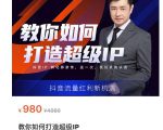 教你如何打造超级IP,抖音流量红利新机遇(价值980元)-逐浪前行