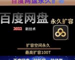 百度网盘无限扩容技术，外面卖399的，无论自己用还是用做引流都可以-逐浪前行
