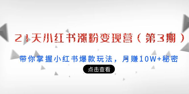 21天小红书涨粉变现营（第3期）：带你掌握小红书爆款玩法，月赚10W+秘密-逐浪前行
