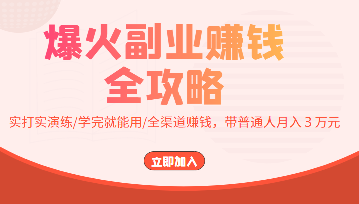 爆火副业赚钱全攻略：实打实演练/学完就能用/全渠道赚钱，带普通人月入３万元-逐浪前行