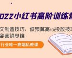 2022小红书高阶训练营：爆文制造技巧，低预算高roi投放技巧，内容营销思维-逐浪前行