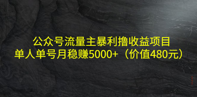 公众号流量主暴利撸收益项目，单人单号月稳赚5000+（价值480元）-逐浪前行