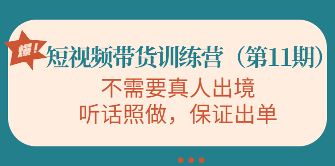 视频带货训练营，不需要真人出境，听话照做，保证出单（第11期）-逐浪前行
