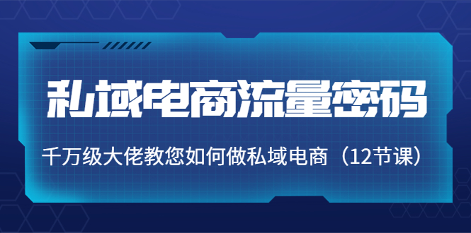 私域电商流量密码：千万级大佬教您如何做私域电商（12节课）-逐浪前行