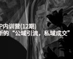 新媒体IP内训营(12期),一套全新的“公域引流,私域成交”IP打法,直接带走-逐浪前行