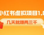 《小红书虚拟项目1.0》账号注册+养号+视频制作+引流+变现,几天就赚两三千-逐浪前行