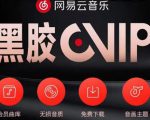 网易云音乐撸黑胶年卡及变现方法,收益可无限放大-逐浪前行
