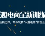 兴趣电商全新训练营：打破品销边界，带你玩转“兴趣电商“实现业务增长-逐浪前行