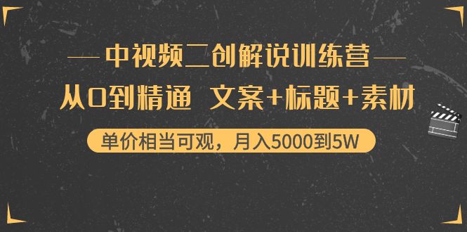 中视频二创解说训练营：从0到精通 文案+标题+素材、月入5000到5W-逐浪前行