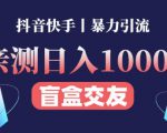 日收益1000+的交友盲盒副业丨有手就行的抖音快手暴力引流-逐浪前行