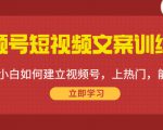 视频号短视频文案训练营：0基础小白如何建立视频号，上热门，能卖货！-逐浪前行