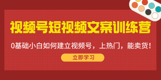 视频号短视频文案训练营：0基础小白如何建立视频号，上热门，能卖货！-逐浪前行