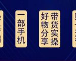 好物分享高阶实操课：0基础一部手机做好好物分享带货（24节课）-逐浪前行