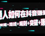 普通人如何在抖音赚到钱:策略 路线 规则 突破 赚钱(10节课)-逐浪前行