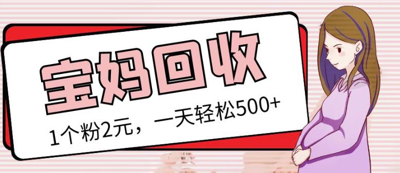 最新小红书母婴号宝妈粉回收项目，1个粉2元，一天轻松500+案例分享【粉丝包回收】-逐浪前行
