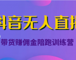 抖音无人直播带货赚佣金陪跑训练营(价值6980元)-逐浪前行