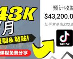 2022抖音国际版Tiktok赚钱项目:每天上传一个视频就轻松月入$43200-逐浪前行