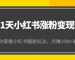 21天小红书涨粉变现营(第4期):带你掌握小红书爆款玩法,月赚10W+秘密-逐浪前行