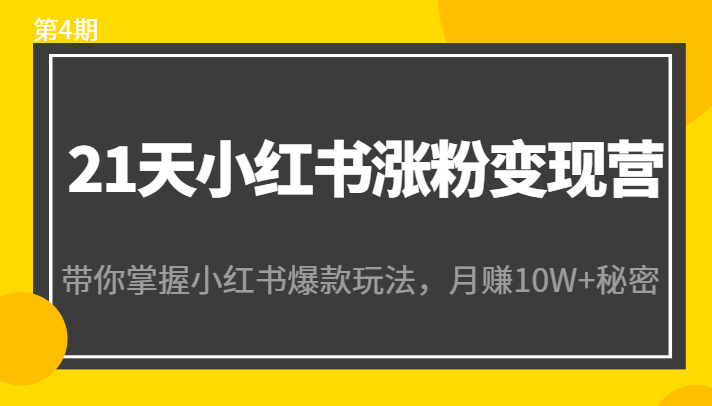 21天小红书涨粉变现营（第4期）：带你掌握小红书爆款玩法，月赚10W+秘密-逐浪前行