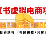 小红书虚拟电商项目:从小白到精英 月收益5000到30000 (视频课程+交付手册)-逐浪前行