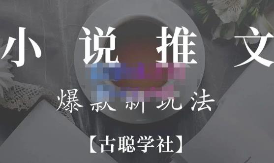小说推文矩阵号群爆单新玩法，引流技巧+爆款实操+矩阵号玩法，百倍效益、百万播放秘笈-逐浪前行