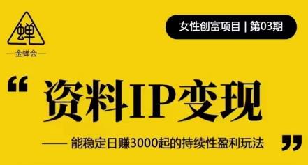 资料IP变现，能稳定日赚3000起的持续性盈利玩法-逐浪前行