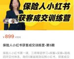 保险人小红书获客成交训练营,0基础高效玩转小红书,可复制的获客成交之路-逐浪前行