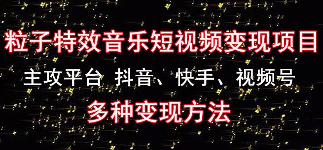 黄岛主《粒子特效音乐短视频变现项目》主攻平台抖音、快手、视频号多种变现方法-逐浪前行