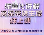 婉婉-主播拉新实操课,流程化讲解资深带货主播,让每个人都成为经得起考验的主播-逐浪前行