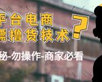 外面收费2980的全平台电商白嫖撸货技术(仅揭秘勿操作-商家防范必看)-逐浪前行