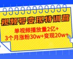 21天视频号变现特训营:单视频播放量2亿+3个月涨粉30w+变现20w+(第14期)-逐浪前行