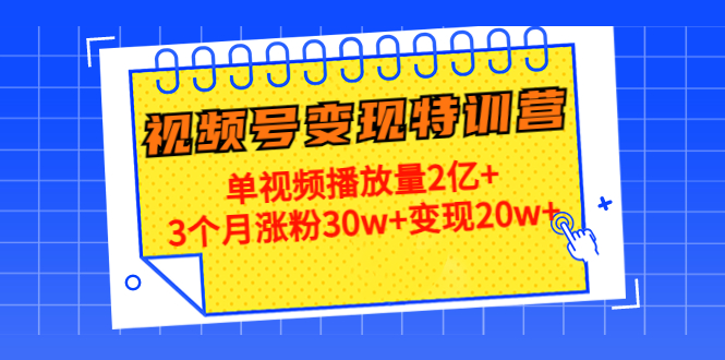 21天视频号变现特训营：单视频播放量2亿+3个月涨粉30w+变现20w+（第14期）-逐浪前行