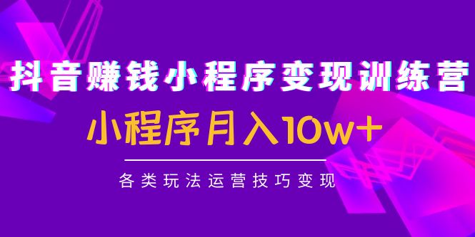 抖音赚钱小程序变现训练营：小程序月入10w+各类玩法运营技巧变现-逐浪前行