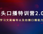 镜头口播特训营2.0版,学习文案编导以及拍摄口播能力(50节课时)-逐浪前行