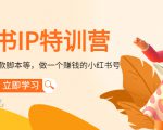 小红书IP特训营：从搭建-制作-爆款脚本等等，做一个赚钱的小红书号-逐浪前行