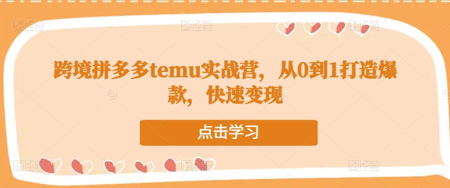 跨境拼多多temu实战营，从0到1打造爆款，快速变现-逐浪前行